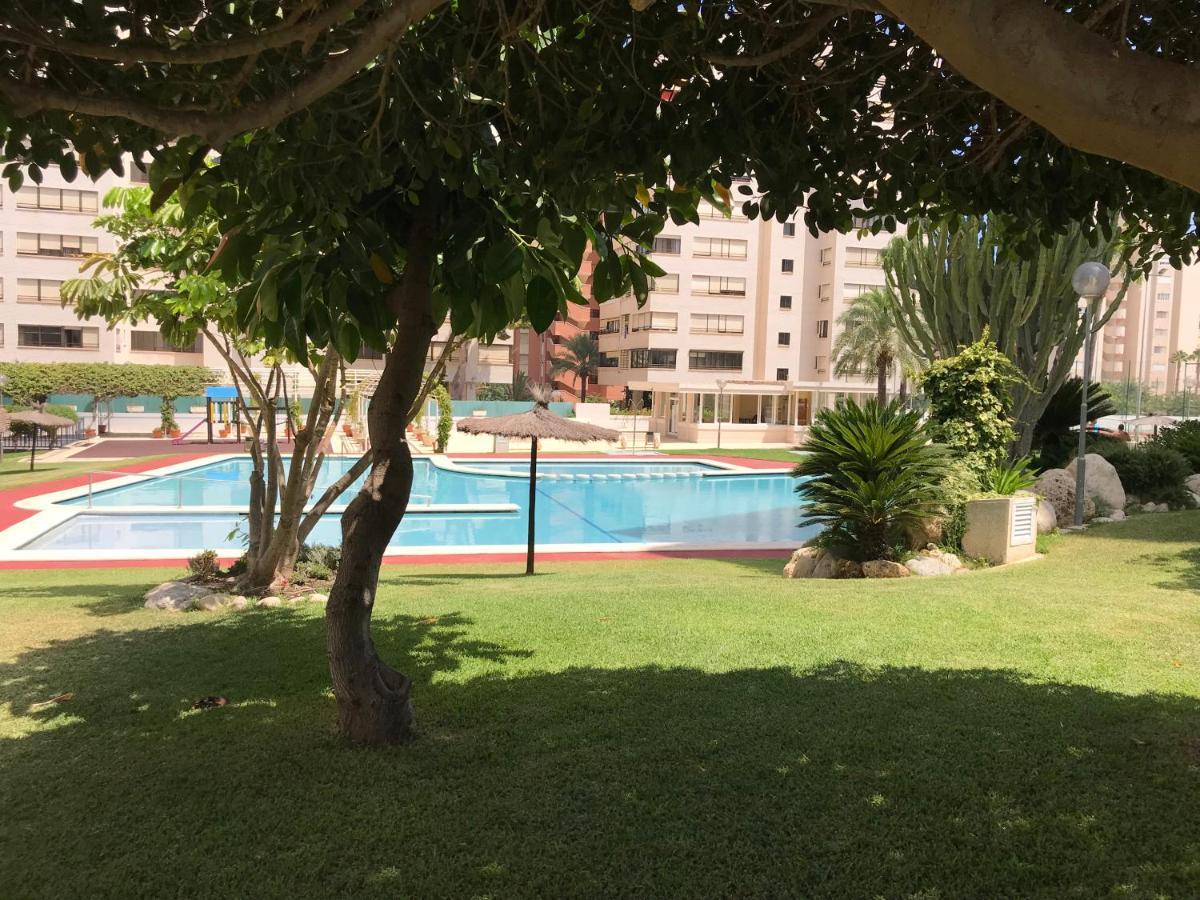 Playa Dos Avenidas Alicante Exterior foto